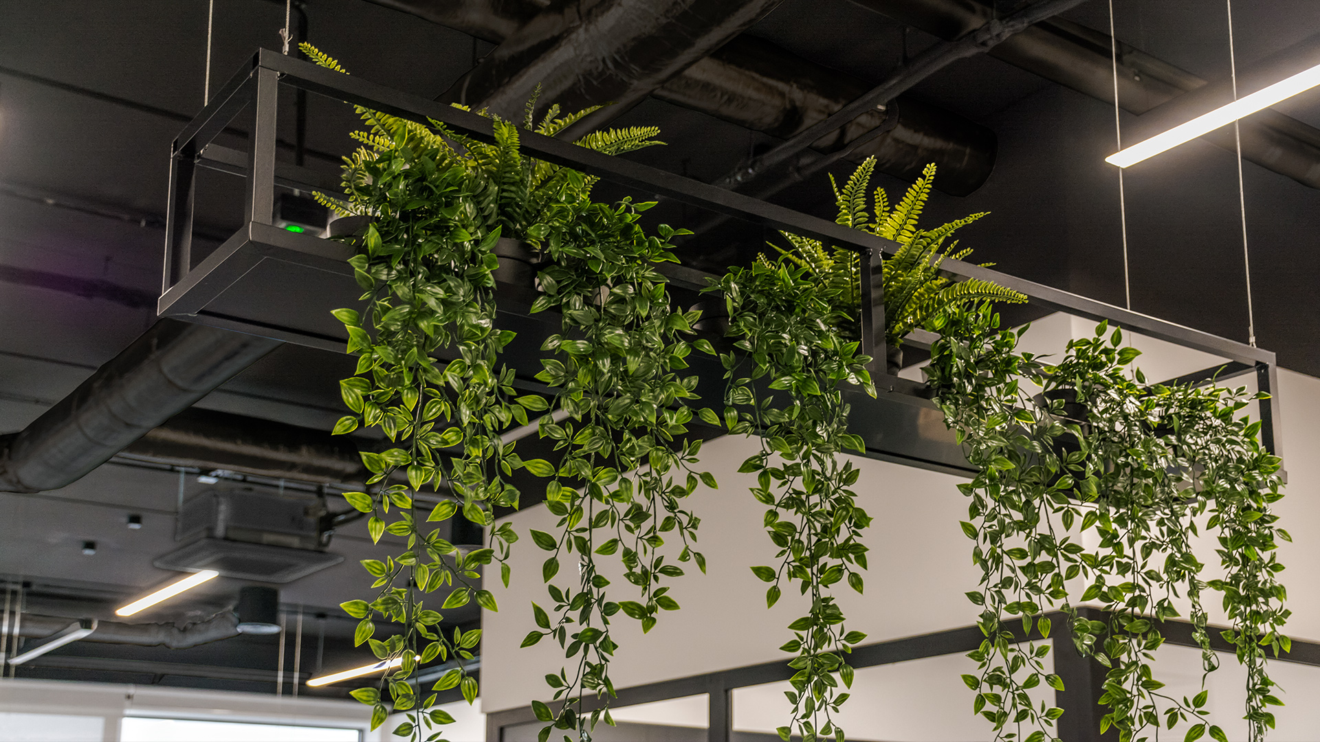 Wiszące kwietniki zostały zaprojektowane specjalnie dla open space naszego klienta. Ich prosta forma doskonale eksponuje rośliny w biurowym wnętrzu.